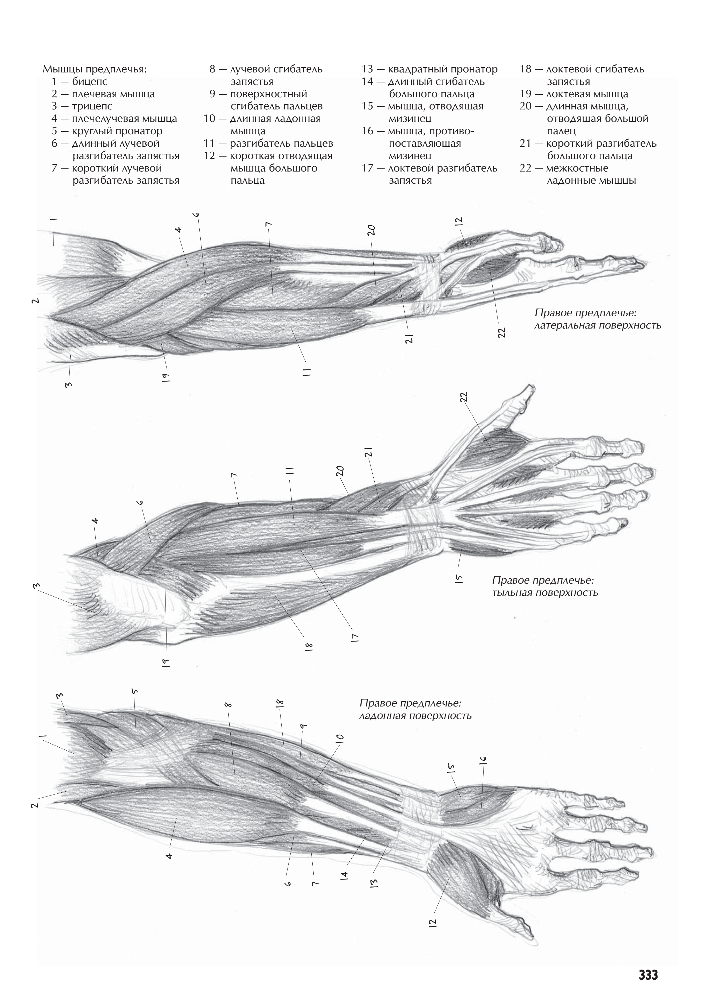 آموزش نقاشی طراحی سیاه قلم شهرری